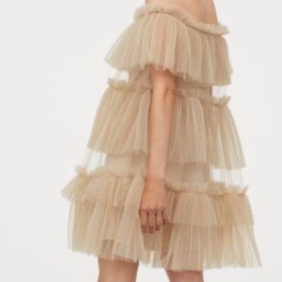 H&M Tulle Ruffle Dress NWT Size Small - Picture 1 of 5